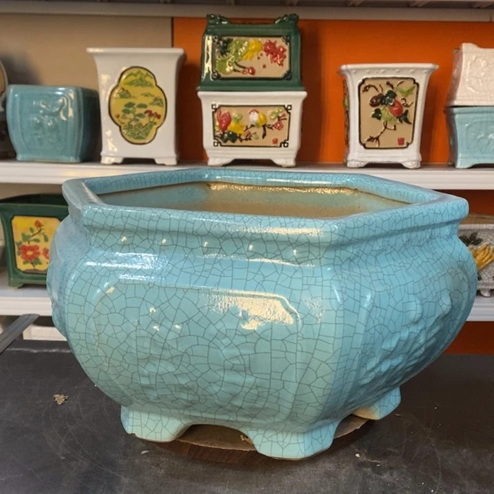 红陶勇*松花盆里的小猫咪