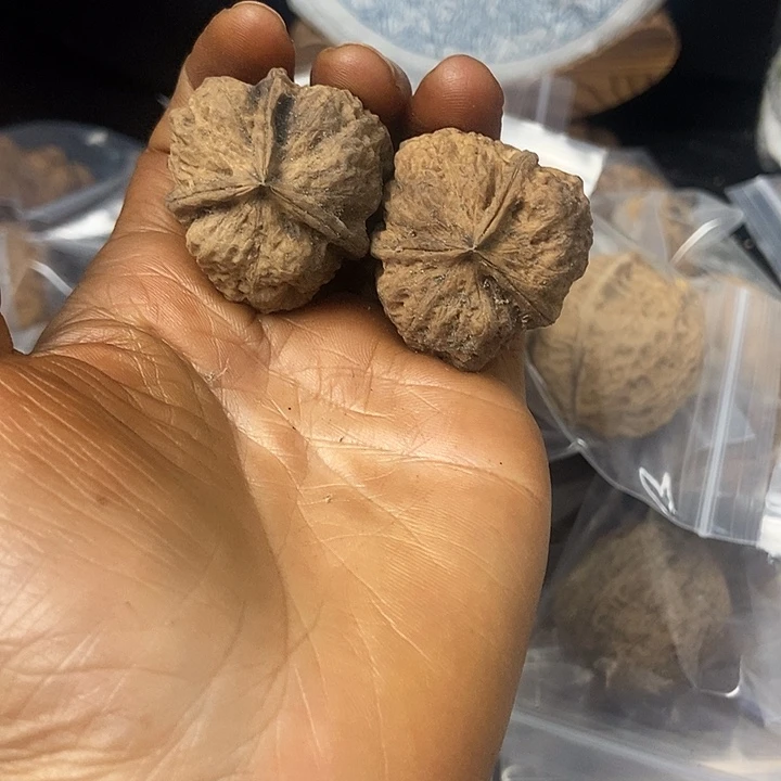 把件文玩核桃云南铁核桃基地23