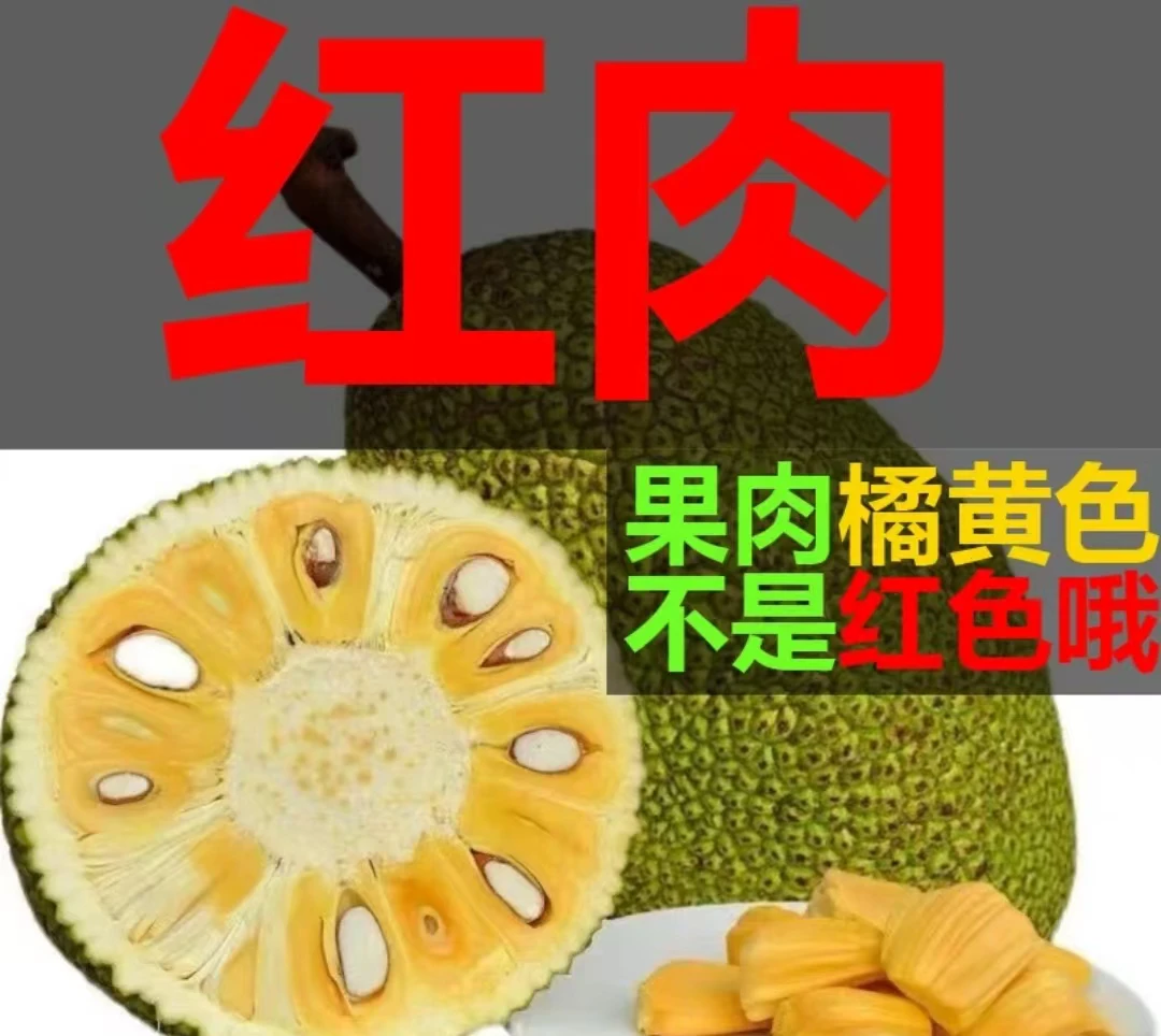 海南泰八红肉榴莲香肉不红五号红肉软糯橘色坏多少赔多少介意慎拍