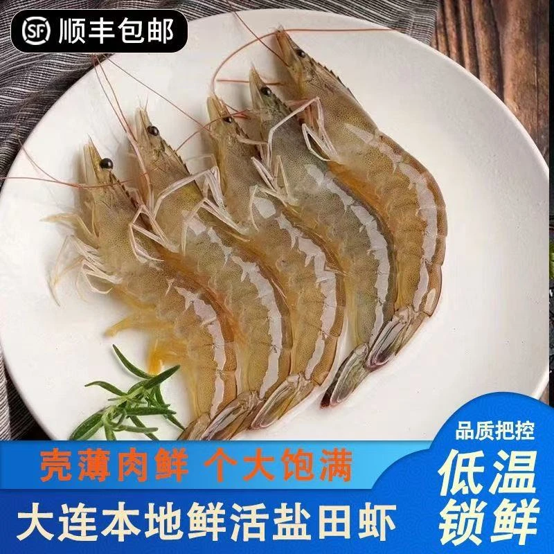 大连正宗复州湾盐田虾肉质紧实鲜甜海虾现捞鲜发顺丰包邮（保鲜）