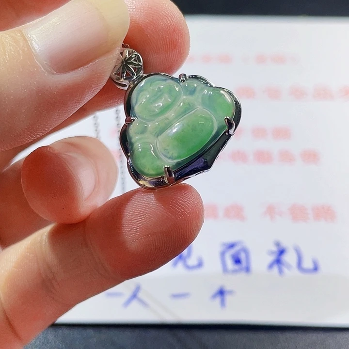 翡翠未镶嵌颈饰112