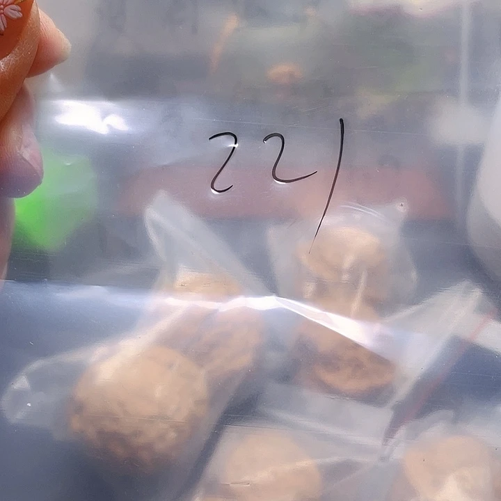 文玩核桃吊坠文玩221