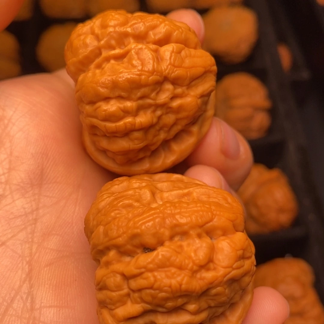 秦岭野生文玩核桃