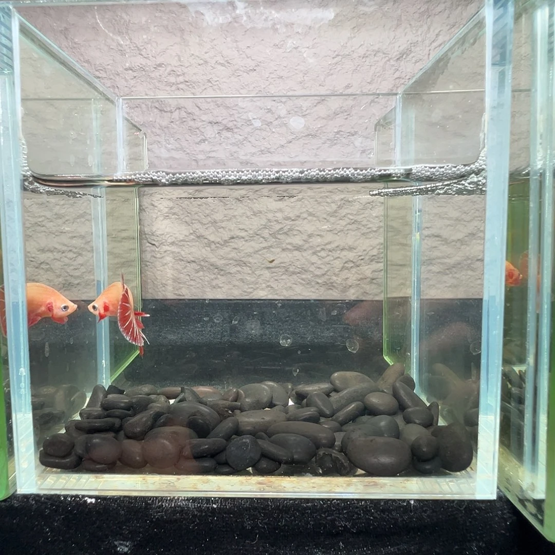 斗鱼阿浩泰斗24日120