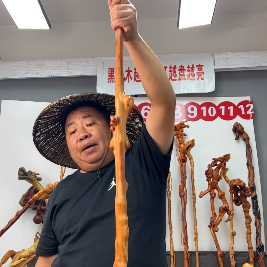 小***鼠黑果木其他黑果木307