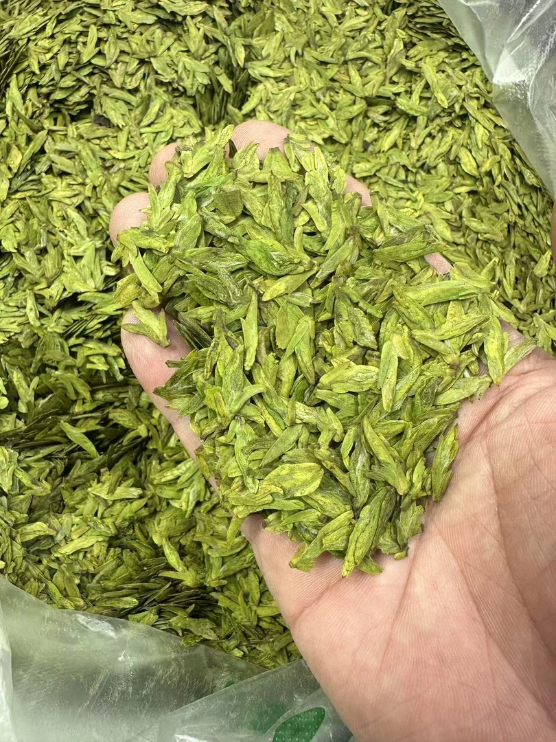 2025年新茶 明前茶  手工采摘  蝴蝶小芽 黄版豆香 头采嫩芽茶