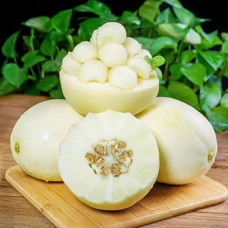 头茬陕西阎良甜瓜新鲜水果蜜瓜2.8-5斤整箱软糯香甜