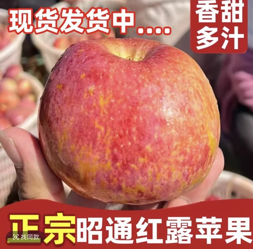 【红露丑苹果】秋霖家云南昭通高山红露糖心丑苹果现摘现发5斤/9斤
