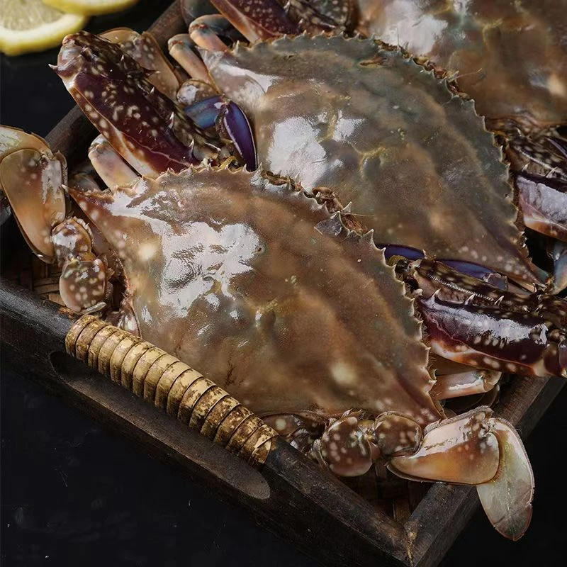 【冻蟹爆炒】 连云港 母蟹 3-4两左右/只4斤装