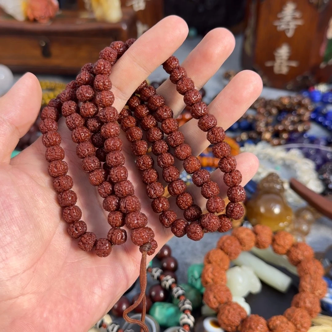海*一号链接即拍即发