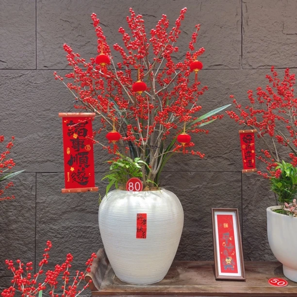 北美冬青｜造型带果 艺术盆景含盆 带盆高度1米2宽70 落地或桌面摆