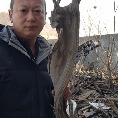 漂亮的坨坨0000200树*