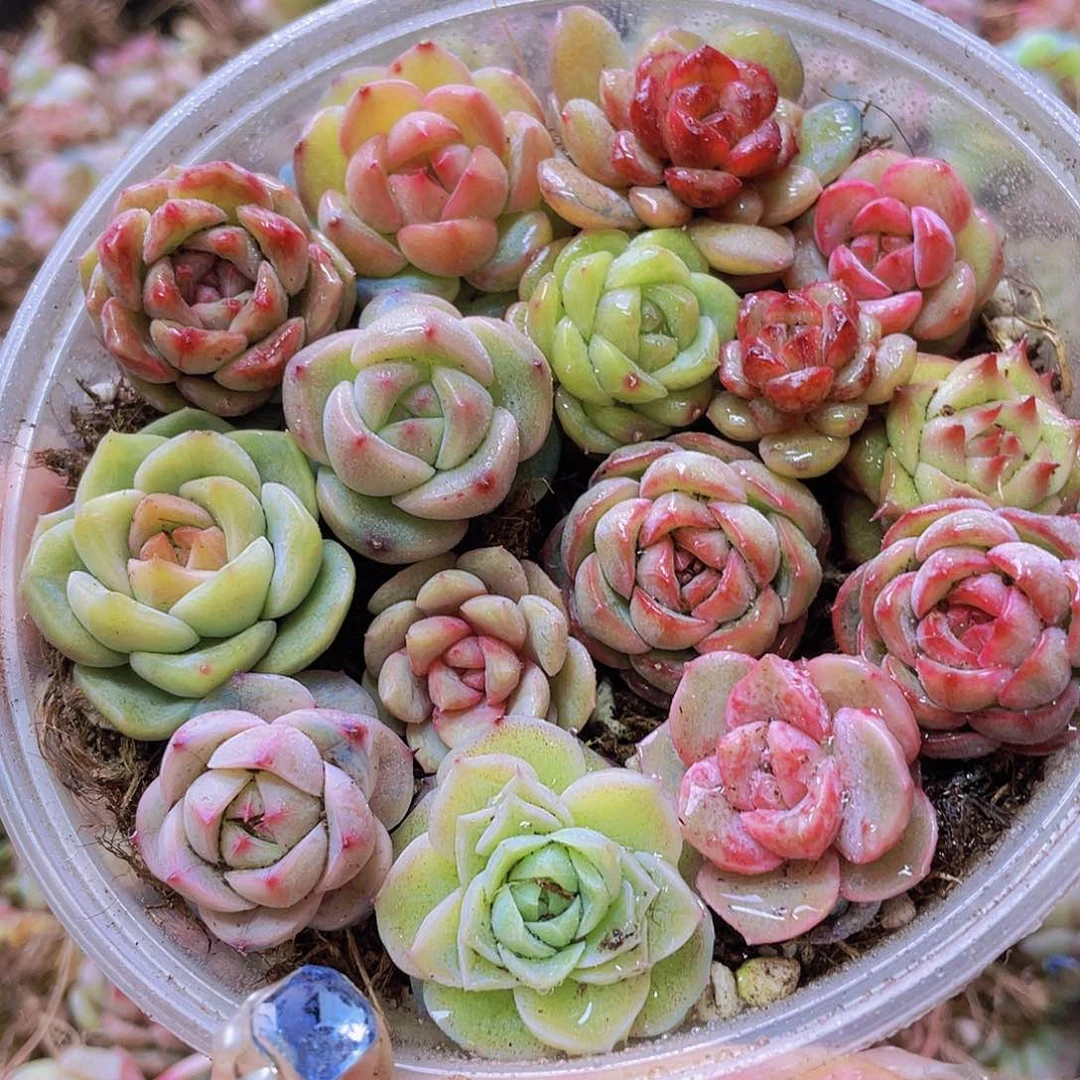 02号000000000000000