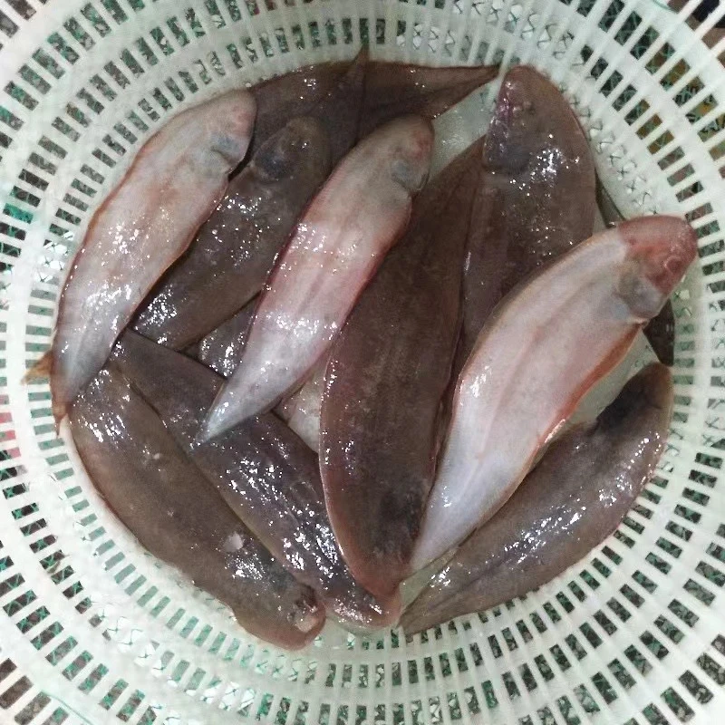 《小目鱼》炸着吃 熬着吃 6斤装 天津发货