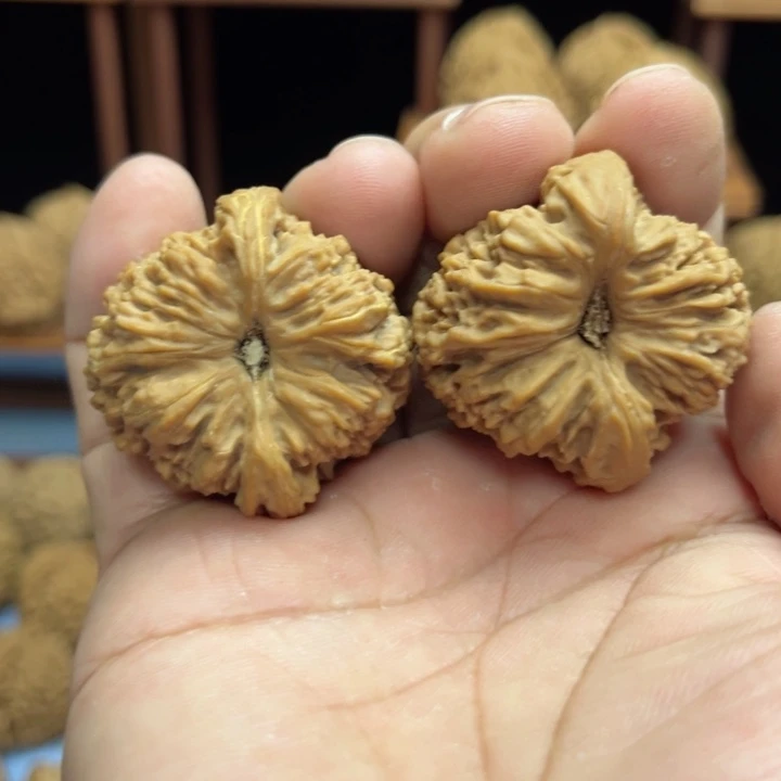 完全开放草*狼南疆石