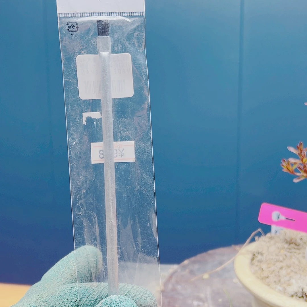 盆景皋月杜鹃树刷