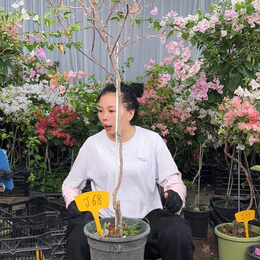 小***强完全开放J68苏瓦娜
