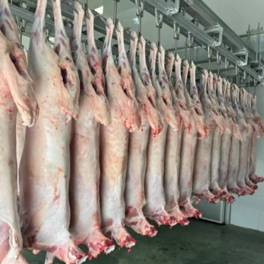 广河羊羔肉~清真好羊肉