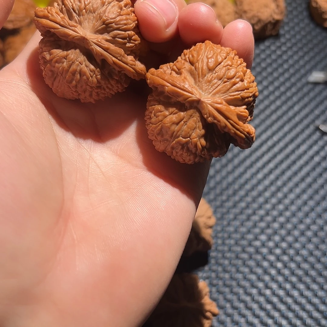 文玩核桃吊坠闷白 白狮子 核桃