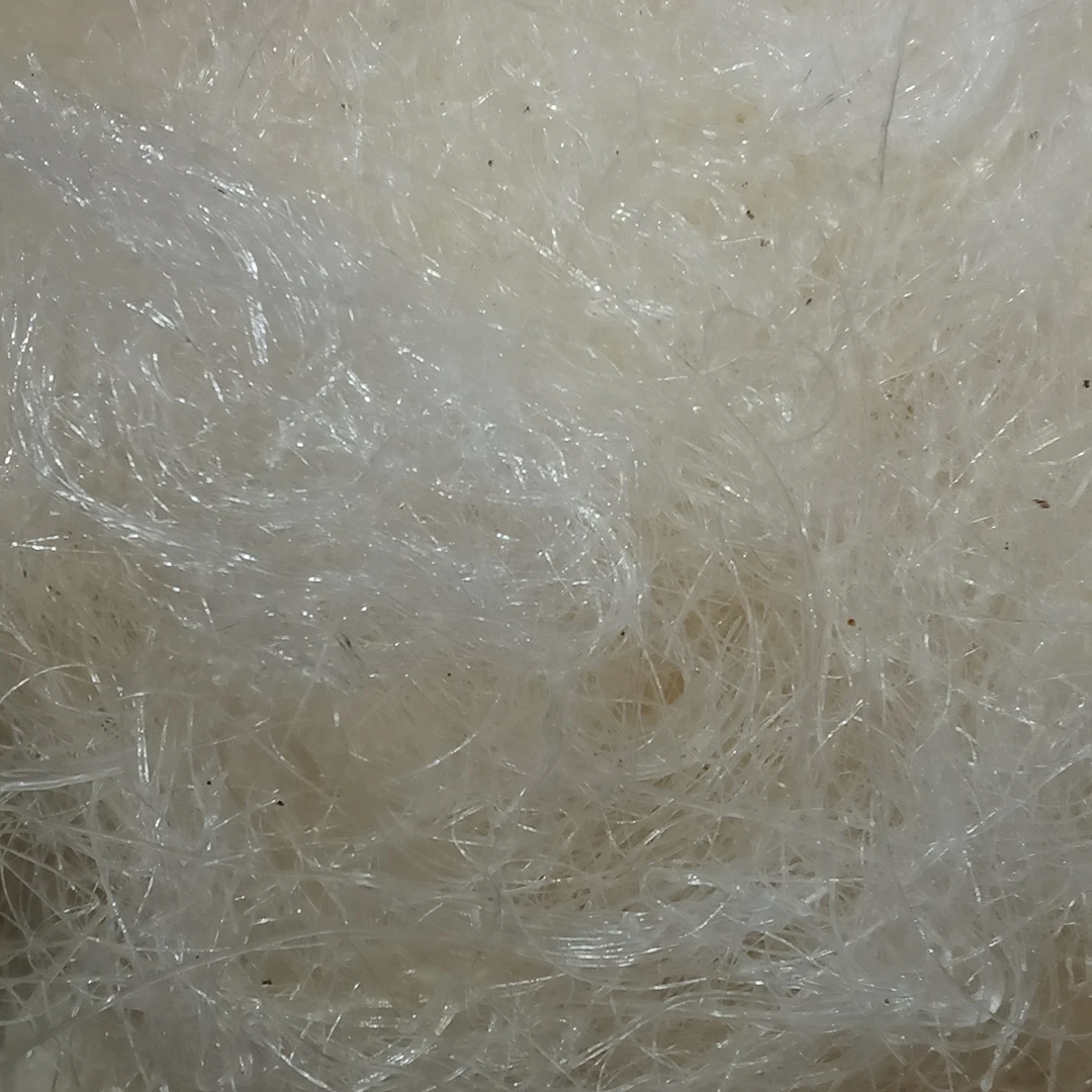 小雅山货推荐【拉丝雪燕】特产推荐