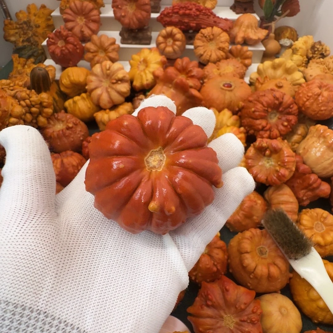 @***.墨西哥葫芦南瓜聚宝盆