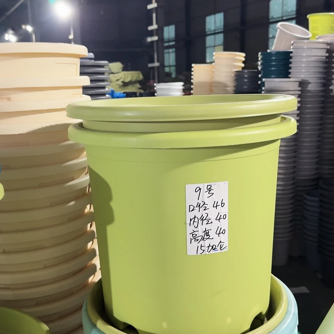 微瑕9#口径46无拖果绿3个