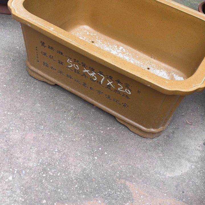 花盆紫砂紫砂花盆