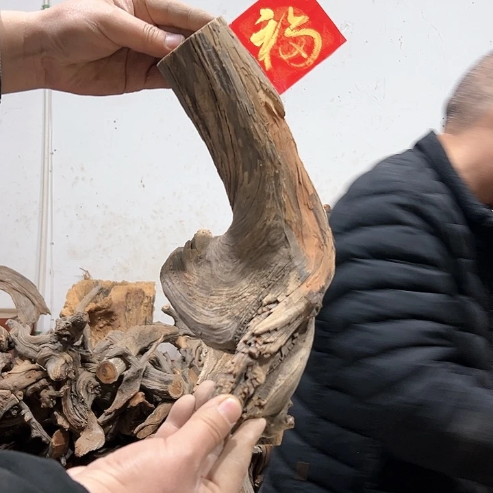 柏木弓**就我们的生活也是如此