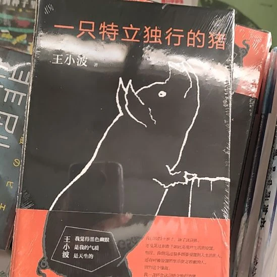 一只特立独行的猪10闪购闪购闪购
