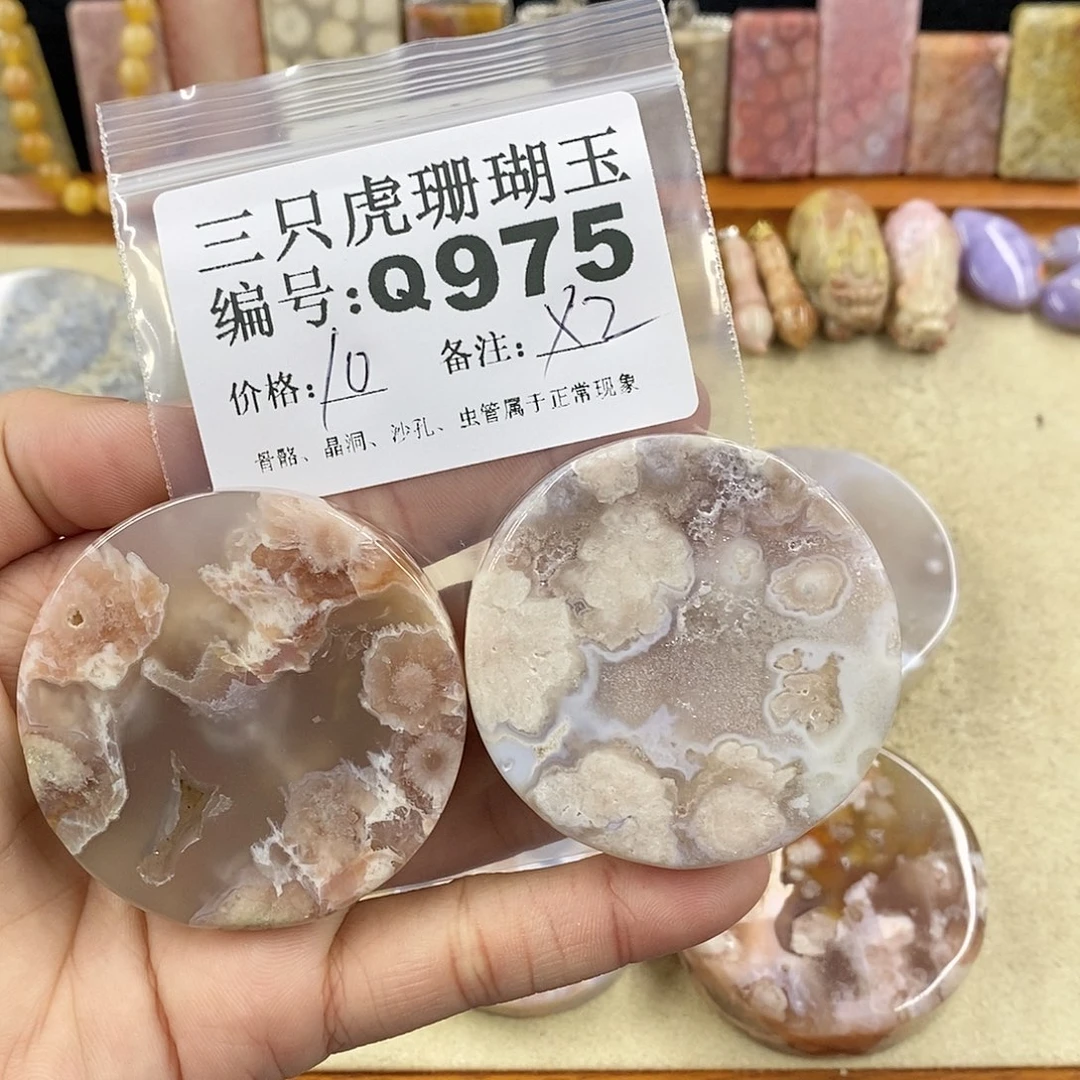 硅化珊瑚（珊瑚玉）1未镶嵌沙**儿