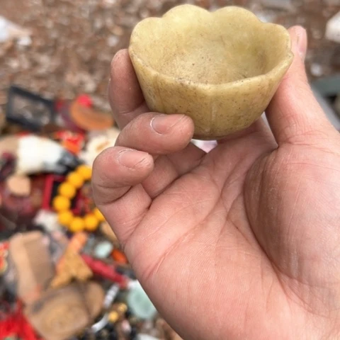 杂色豆（科檀/科特迪瓦檀木）钦**人