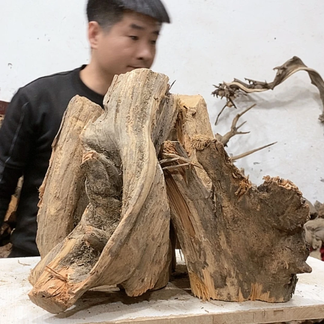 【闪购商品】柏木秋**夏我们都是好孩子