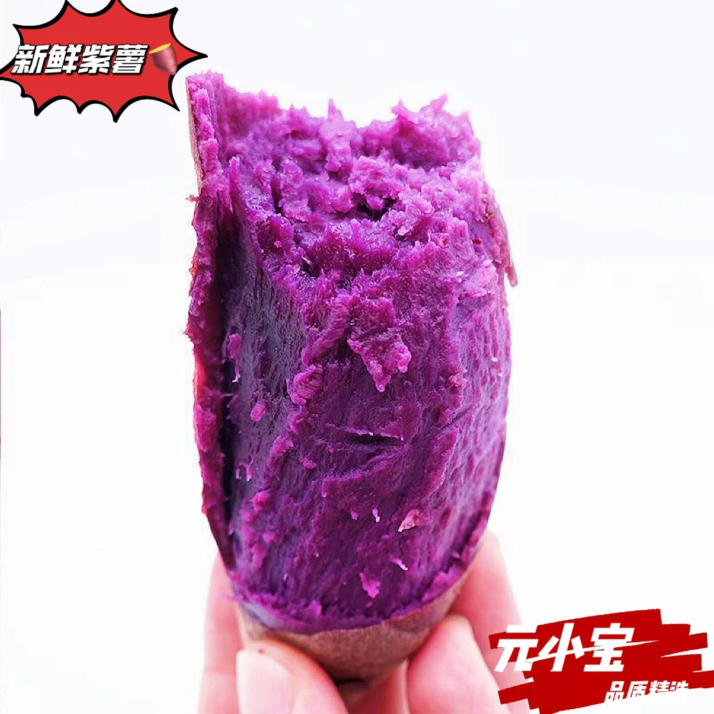 16枚小紫香薯/湖北紫罗兰新鲜紫薯粉糯香甜红薯粗粮辅食农产5斤