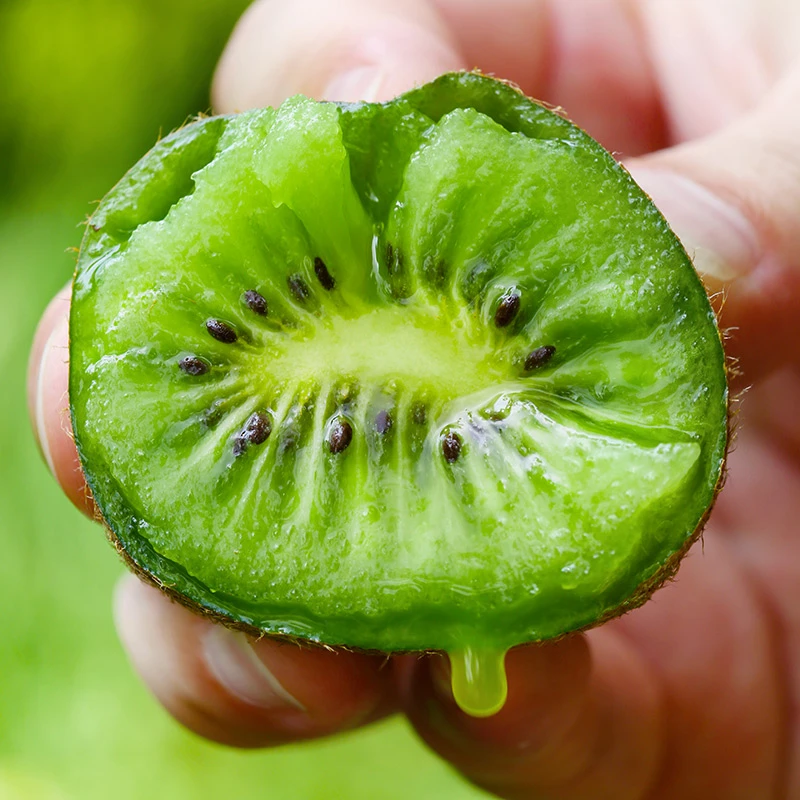 【胖虎专属】陕西纯甜猕猴桃奇异果单果60克起