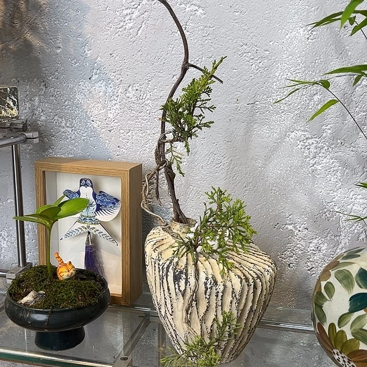 无花朵一物一拍一物一拍