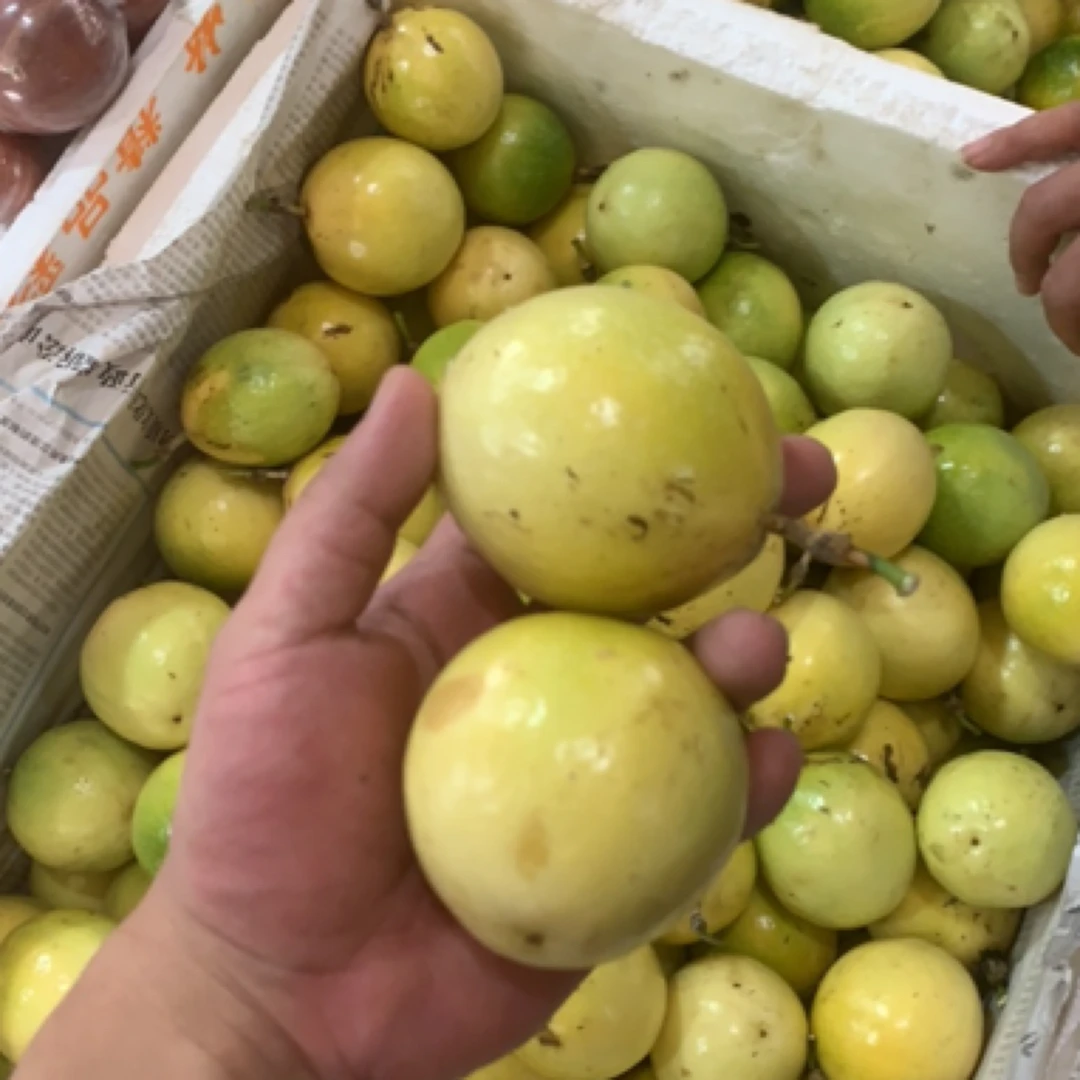 海南钦蜜百香果9号 大果大果钦蜜9号海南省
