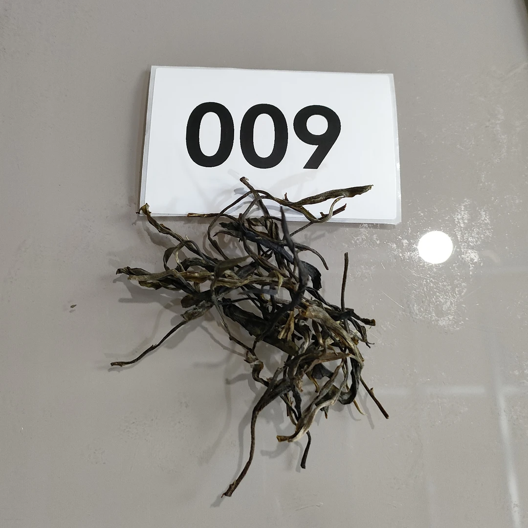 【009号】2025年 小户赛河 古树单株纯品 生茶 散茶（通用）