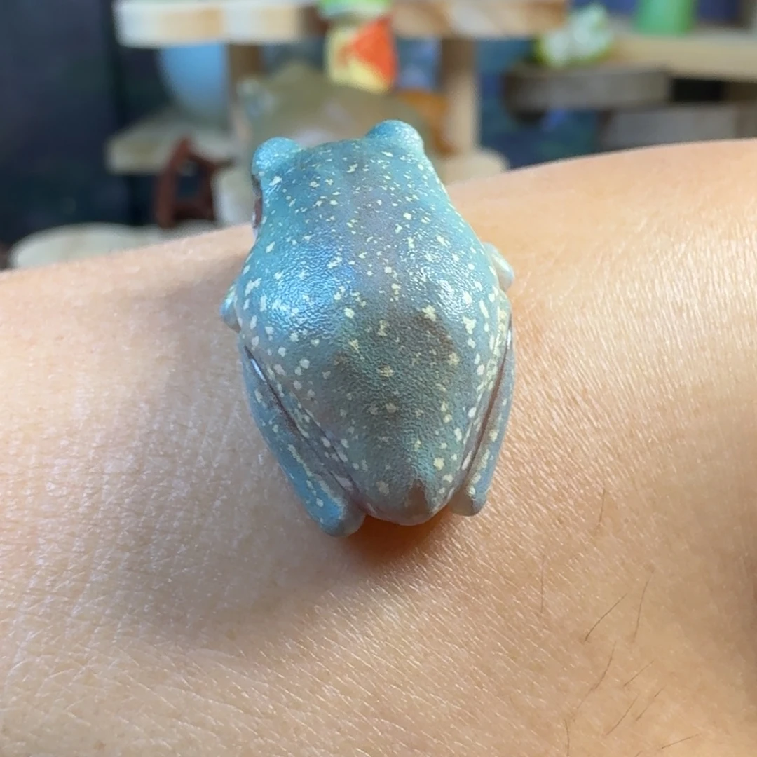 老爷树蛙13号拍澳蓝浅色微雪