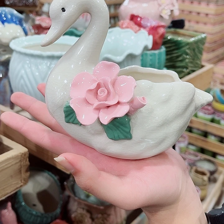 花盆有孔！凑满10米包由！