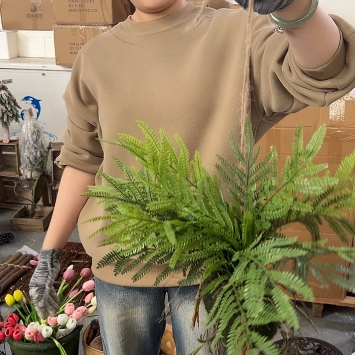 拍品大福利大福利