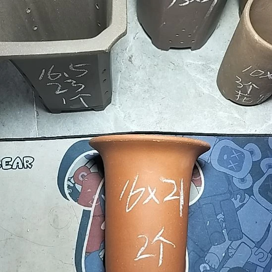小红兰花两个微瑕