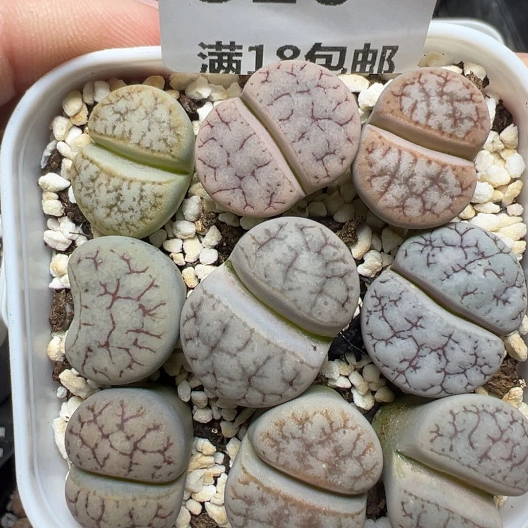 【闪购商品】320……