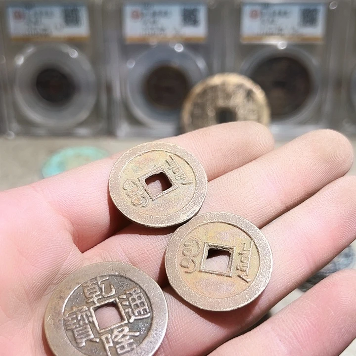 奈***苏铜666666666666666