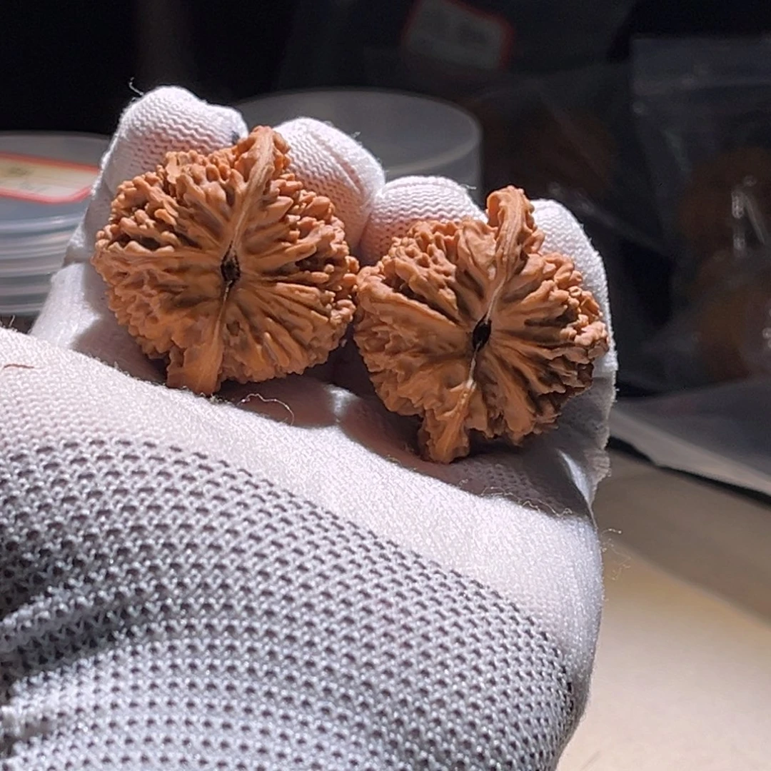 S***.满天星 满天真 满天真。