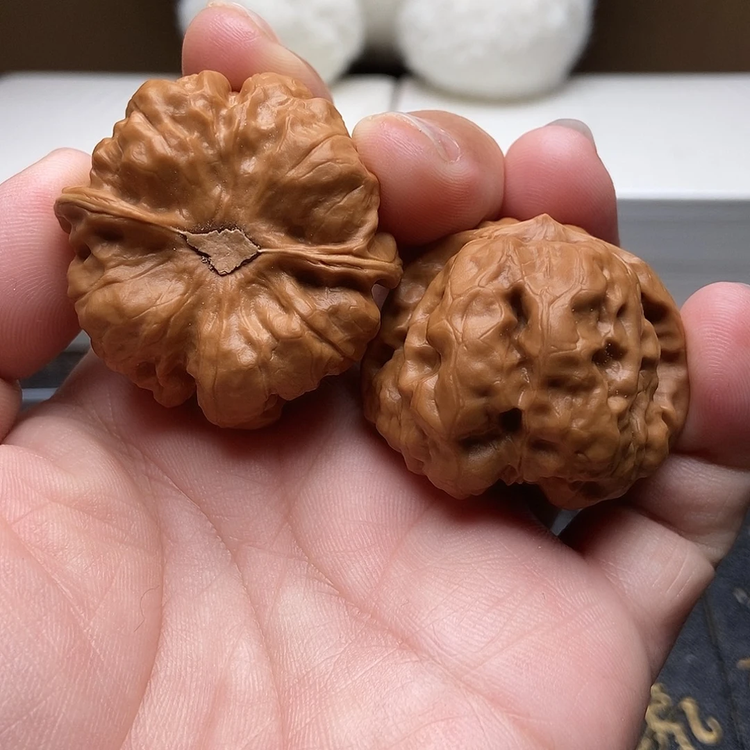 40尺蛤蟆头蛤蟆蛤蟆