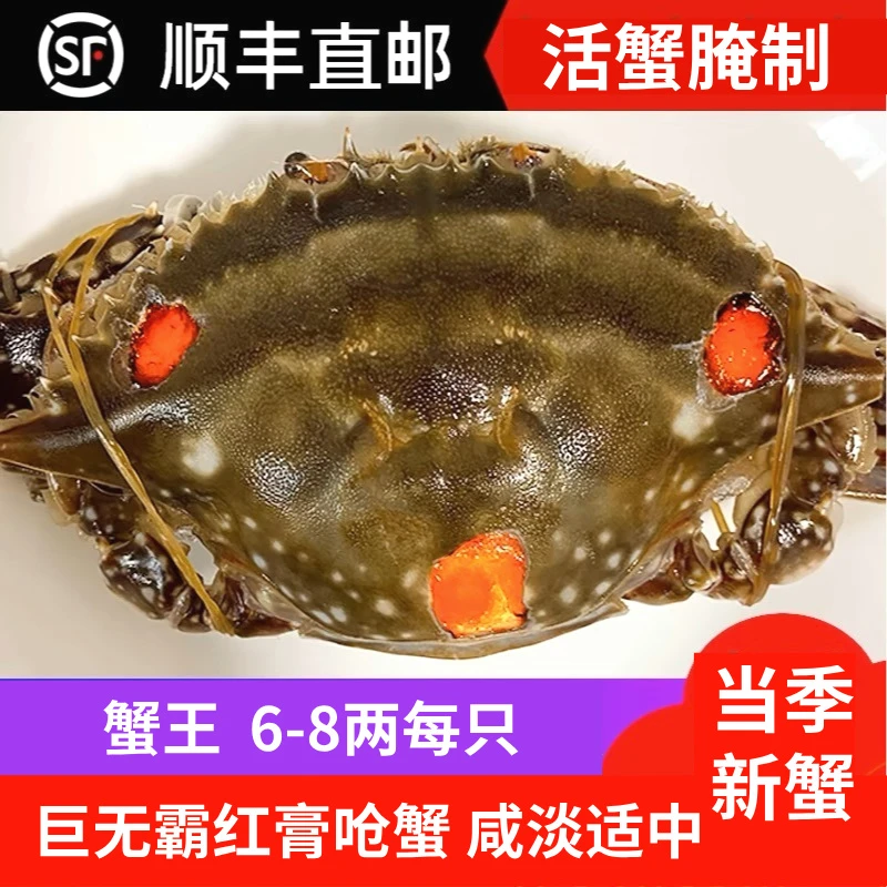 【蟹王红膏】舟山巨无霸精品红膏呛蟹6-8两/只 咸蟹 生吃不可蒸煮