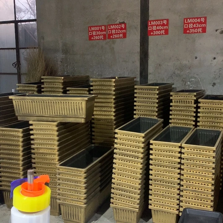 ୧****——————优惠活动