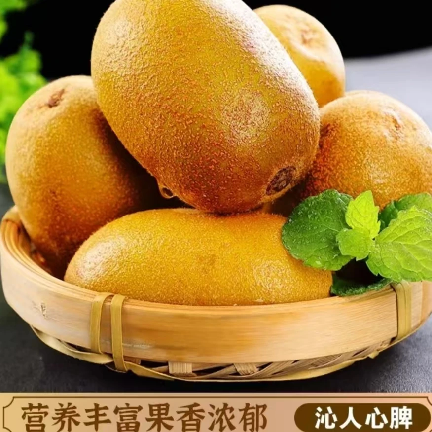 【黄心奇异果】江西奉新黄心猕猴桃应季新鲜现摘孕妇营养水果整箱装