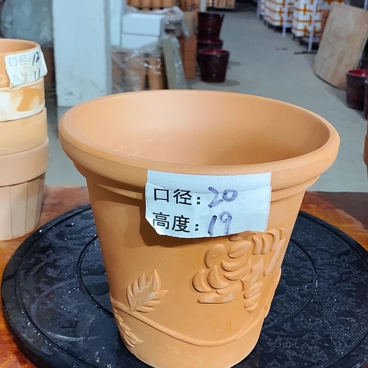 玫瑰20×19-1