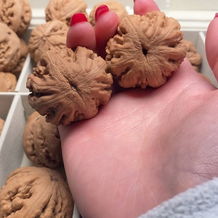 R***t把件文玩核桃霸王龙